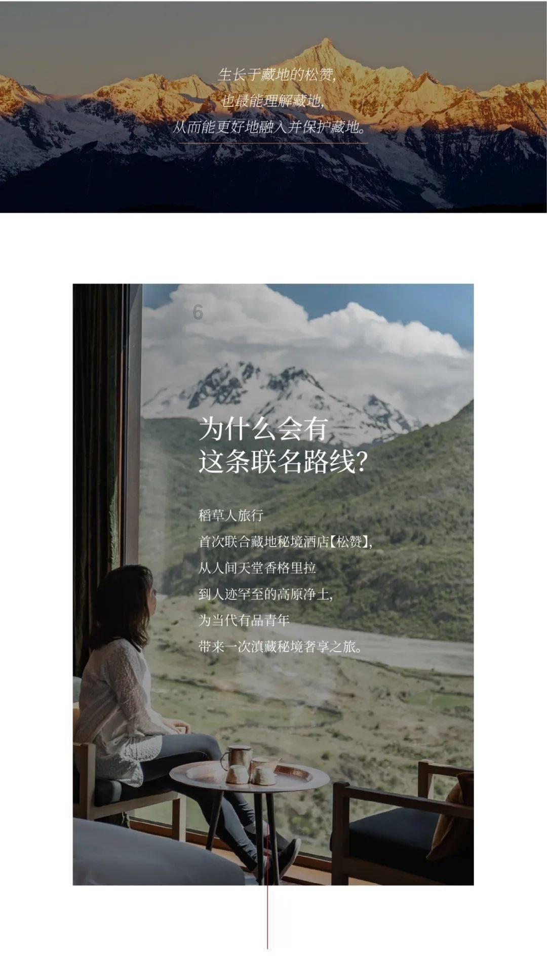仓鼠寿命一般多少年游戏画面