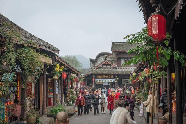 逃离棕榈树森林
